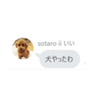 いいスタンプ（犬）（個別スタンプ：11）