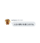 いいスタンプ（犬）（個別スタンプ：12）