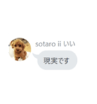 いいスタンプ（犬）（個別スタンプ：13）