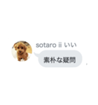 いいスタンプ（犬）（個別スタンプ：14）