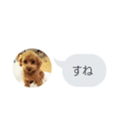 いいスタンプ（犬）（個別スタンプ：18）