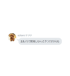 いいスタンプ（犬）（個別スタンプ：22）