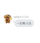 いいスタンプ（犬）（個別スタンプ：25）