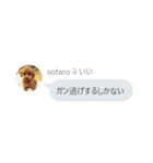 いいスタンプ（犬）（個別スタンプ：26）