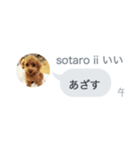 いいスタンプ（犬）（個別スタンプ：28）