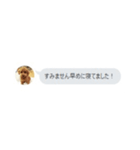 いいスタンプ（犬）（個別スタンプ：30）
