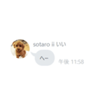 いいスタンプ（犬）（個別スタンプ：32）