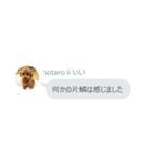 いいスタンプ（犬）（個別スタンプ：33）