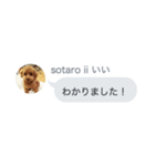 いいスタンプ（犬）（個別スタンプ：34）