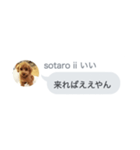 いいスタンプ（犬）（個別スタンプ：36）