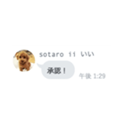 いいスタンプ（犬）（個別スタンプ：37）