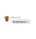 いいスタンプ（犬）（個別スタンプ：39）