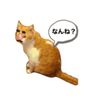 松右衛門（個別スタンプ：5）