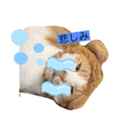 松右衛門（個別スタンプ：7）