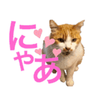 松右衛門（個別スタンプ：10）