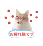 松右衛門（個別スタンプ：11）