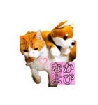 松右衛門（個別スタンプ：21）
