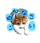 松右衛門（個別スタンプ：24）