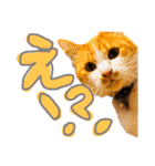 松右衛門（個別スタンプ：31）