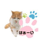 松右衛門（個別スタンプ：32）