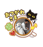 かにちゃん①（個別スタンプ：5）