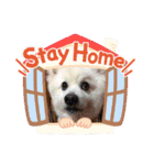 かにちゃん①（個別スタンプ：33）