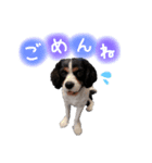 シン太郎さんスタンプ（個別スタンプ：4）