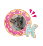 チンチラち～たん❶（個別スタンプ：1）