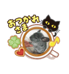 チンチラち～たん❶（個別スタンプ：3）