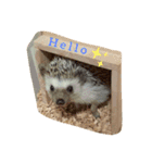 ハリーのある生活2（個別スタンプ：10）