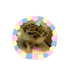 ハリーのある生活2（個別スタンプ：14）