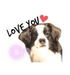 ルイ@dog（個別スタンプ：1）