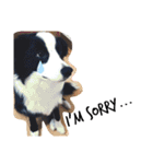 ルイ@dog（個別スタンプ：15）