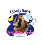 チワックス虎龍b（個別スタンプ：3）