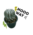 S Cactus（個別スタンプ：3）