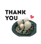 S Cactus（個別スタンプ：7）