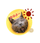 鼻水はなこちゃん～あいさつ～（個別スタンプ：1）