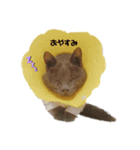 鼻水はなこちゃん～あいさつ～（個別スタンプ：3）