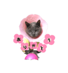 鼻水はなこちゃん～あいさつ～（個別スタンプ：5）