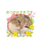まるちゃんスタンプ☆日常編2（個別スタンプ：2）