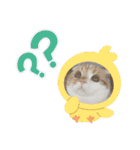 まるちゃんスタンプ☆日常編2（個別スタンプ：9）