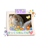 まるちゃんスタンプ☆日常編2（個別スタンプ：10）