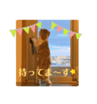 まるちゃんスタンプ☆日常編2（個別スタンプ：16）