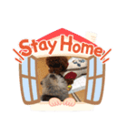愛犬のアクアとダイヤ（個別スタンプ：8）