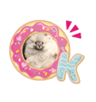 愛犬のアクアとダイヤ（個別スタンプ：9）