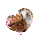 愛犬のアクアとダイヤ（個別スタンプ：16）