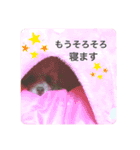 プリミレ 〜レアちゃん〜（個別スタンプ：6）