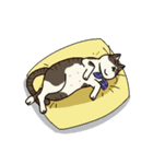 めいとむうとまろん（個別スタンプ：20）