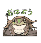 里山の仲間たち（個別スタンプ：1）