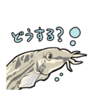 里山の仲間たち（個別スタンプ：10）